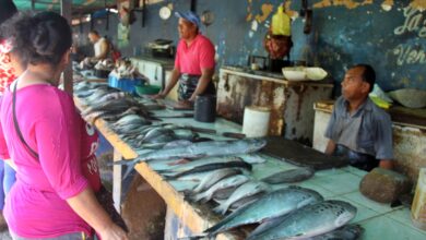 Maturineses optan por comprar pescado ante progresivo aumento en la carne