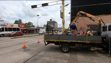 Reparan semáforos en Las Cayenas, avenida Juncal y plaza 7 La alcaldesa Ana Fuentes ha solicitado acelerar los trabajos técnicos en aquellos puntos de la ciudad donde se han dañado los controladores de tráfico Kendrick Hermoso/Prensa Alcaldía de Maturín.- Cuadrillas de la Dirección de Transporte y Vialidad de la Alcaldía de Maturín se desplegaron, este lunes 9 de septiembre, para continuar las reparaciones en la red de semáforos de la ciudad. El primer punto de labores fue ubicado en la avenida Bolívar con calle Girardot, frente a la plaza 7. Seguidamente, se trasladaron hasta los semáforos localizados en la avenida Juncal con calle Barreto y con calle Azcúe. Finalmente, sustituyeron un foco de color rojo del semáforo de Las Cayenas, en la avenida Bella Vista. Estas labores se suman a las reparaciones ejecutadas el pasado domingo, cuando se activaron los semáforos de las entradas de Alto Paramaconi, Las Cocuizas, frente al Terminal y frente al edificio El Tama.