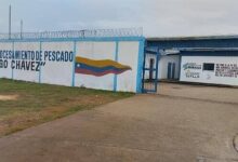 Planta procesadora de pescado en Sotillo se prepara para la exportación a Colombia