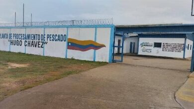 Planta procesadora de pescado en Sotillo se prepara para la exportación a Colombia