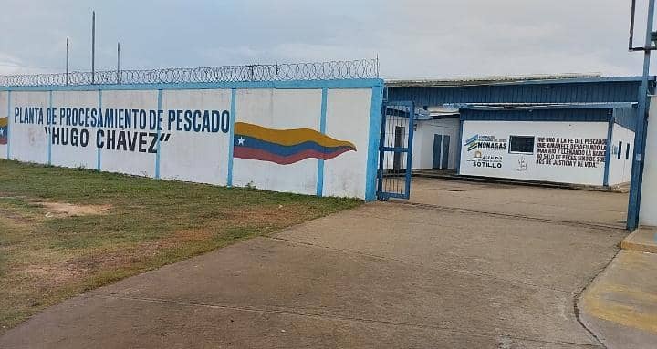 Planta procesadora de pescado en Sotillo se prepara para la exportación a Colombia