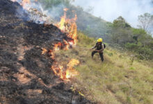 Bolivia declara emergencia nacional por los intensos incendios forestales