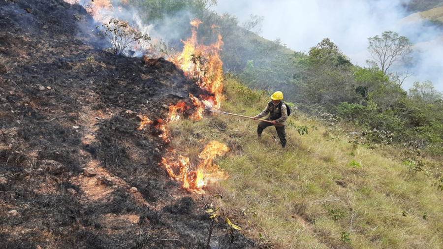 Bolivia declara emergencia nacional por los intensos incendios forestales