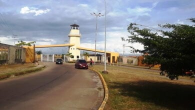 Reportan brote de dengue en la urbanización El Faro de Maturín