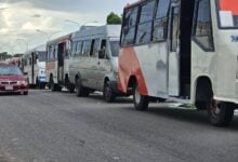 Habilitarán más 650 unidades de transporte para el juego Venezuela vs Argentina