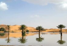 Desierto del Sahara bajo el agua: lluvias atípicas generan inundaciones por primera vez en 50 años