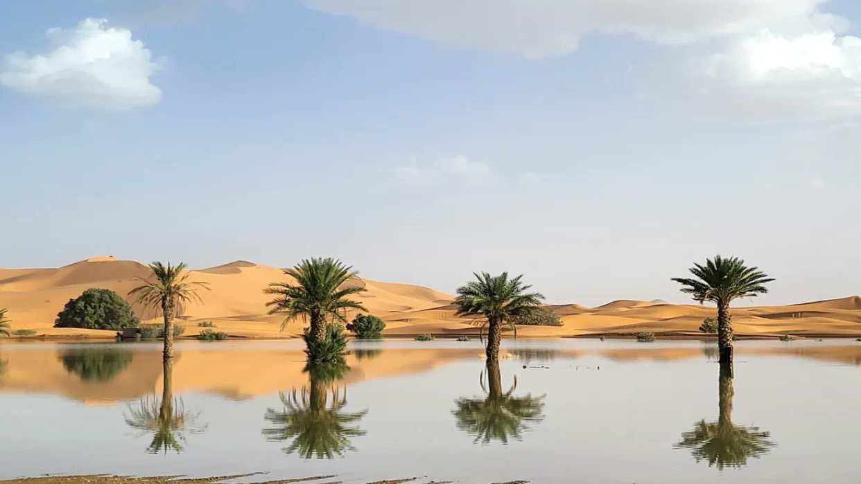 Desierto del Sahara bajo el agua: lluvias atípicas generan inundaciones por primera vez en 50 años