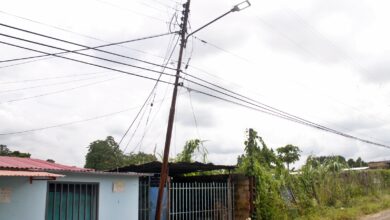 En alerta vecinos de La Cruz de La Potoca por precarias condiciones del tendido eléctrico