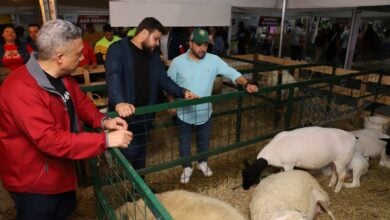 Monagas atraerá a los mejores exponentes de la ganadería en Expo Agroindustrial 2024