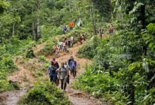 50 años de prisión para los 5 asesinos del niño migrante venezolano en el Darién