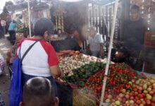 Aseguran precios accesibles en los ingredientes para las hallaras en el mercado nuevo de Maturín