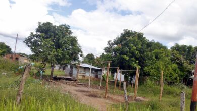 Vecino de San José de Orocual en Maturín aseguraron que no recibe ayuda gubernamental