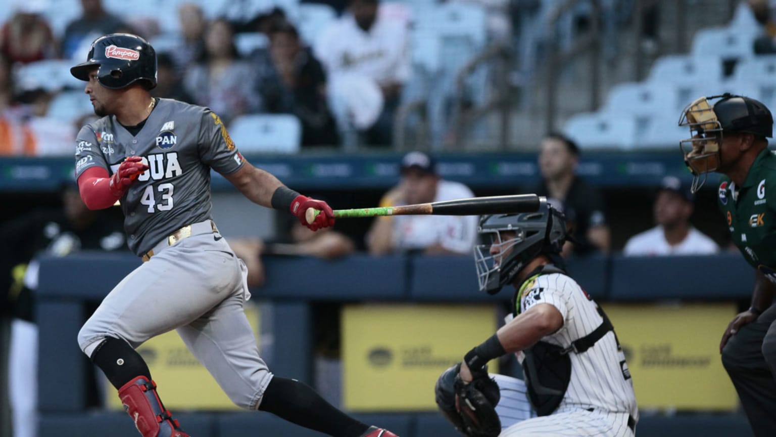 Tigres de Aragua avanzan como el último invitado al Robin Robin