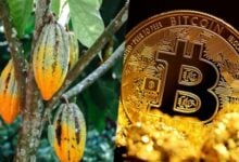 El cacao es la materia prima que mejor se ha comportado en 2024, incluso mejor que bitcoin