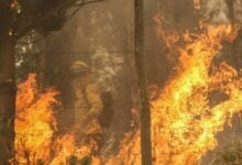 Un incendio forestal en Chile causa la muerte de tres bomberos