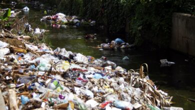 Esperan limpieza del caudal en el sector Chacao del municipio Maturín