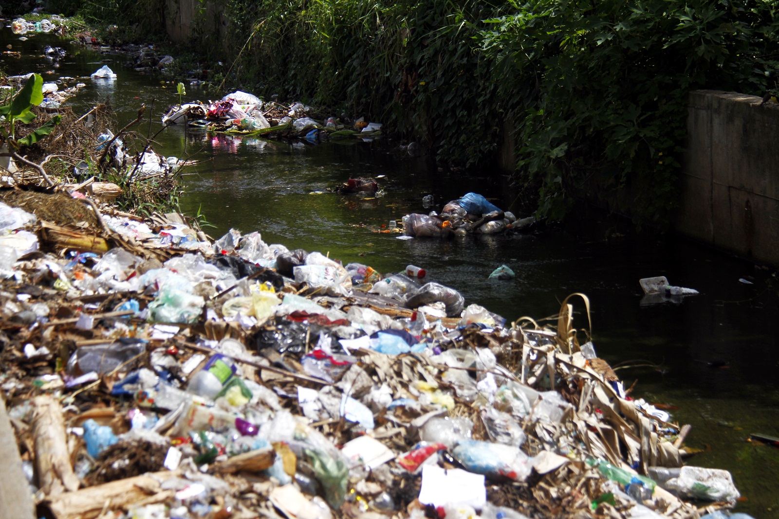 Esperan limpieza del caudal en el sector Chacao del municipio Maturín