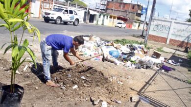 Comerciantes de la principal de Los Guaritos III siembran matas para eliminar vertederos de basura en la zona