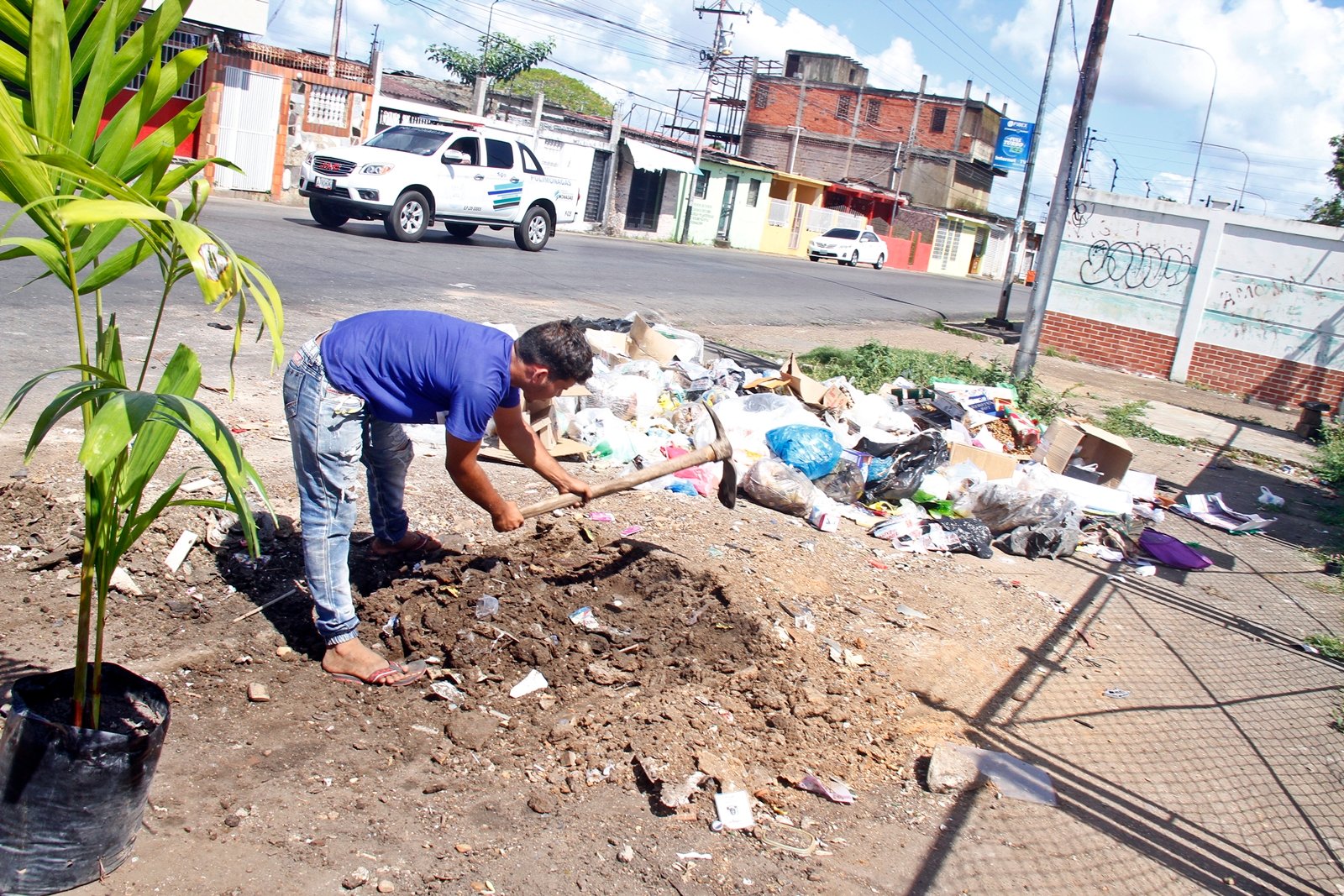 Comerciantes de la principal de Los Guaritos III siembran matas para eliminar vertederos de basura en la zona