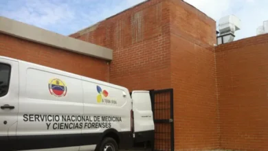Sexagenario muere arrollado en autopista de Valencia