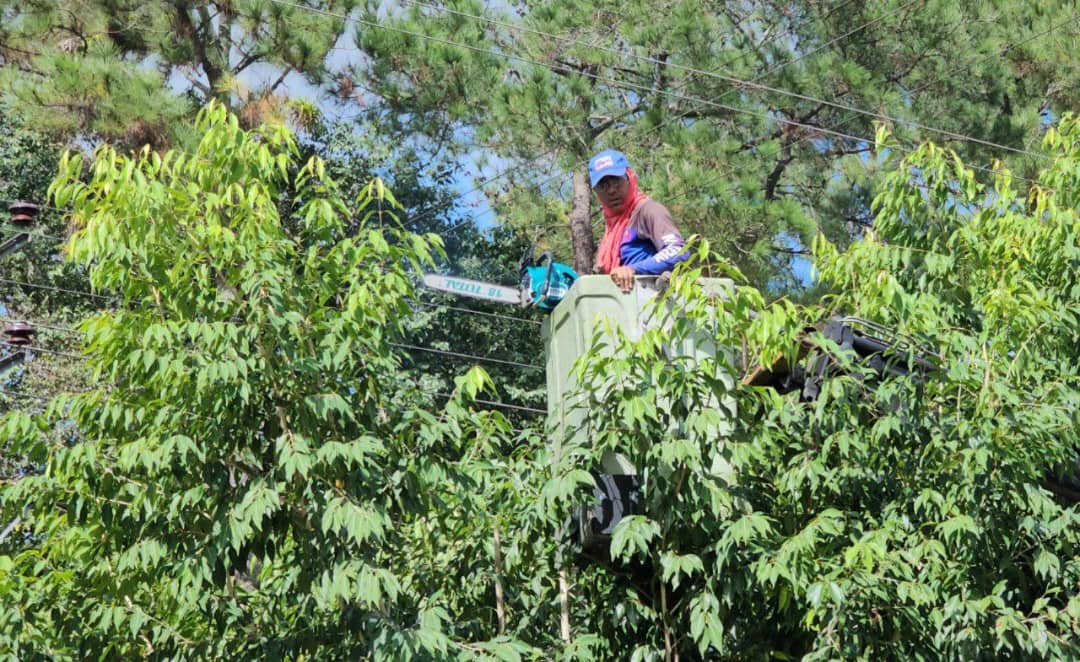 Alcaldía activa operativo de "pica y poda" en la avenida Cruz Peraza de Maturín