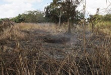 Vecinos de Tres de Mayo exigen solución ante constantes incendios en la comunidad