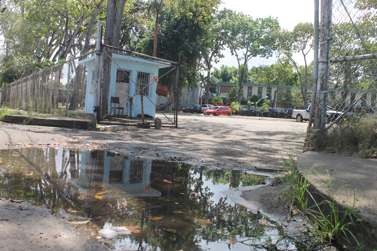 Denuncian desbordamiento de aguas residuales en la Libertador, cerca de Malariología