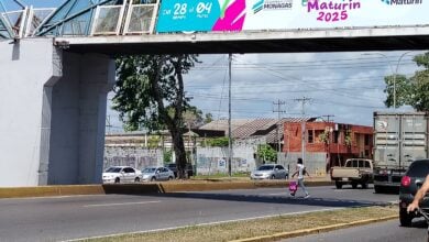 Pasarela de la avenida Alirio Ugarte Pelayo.