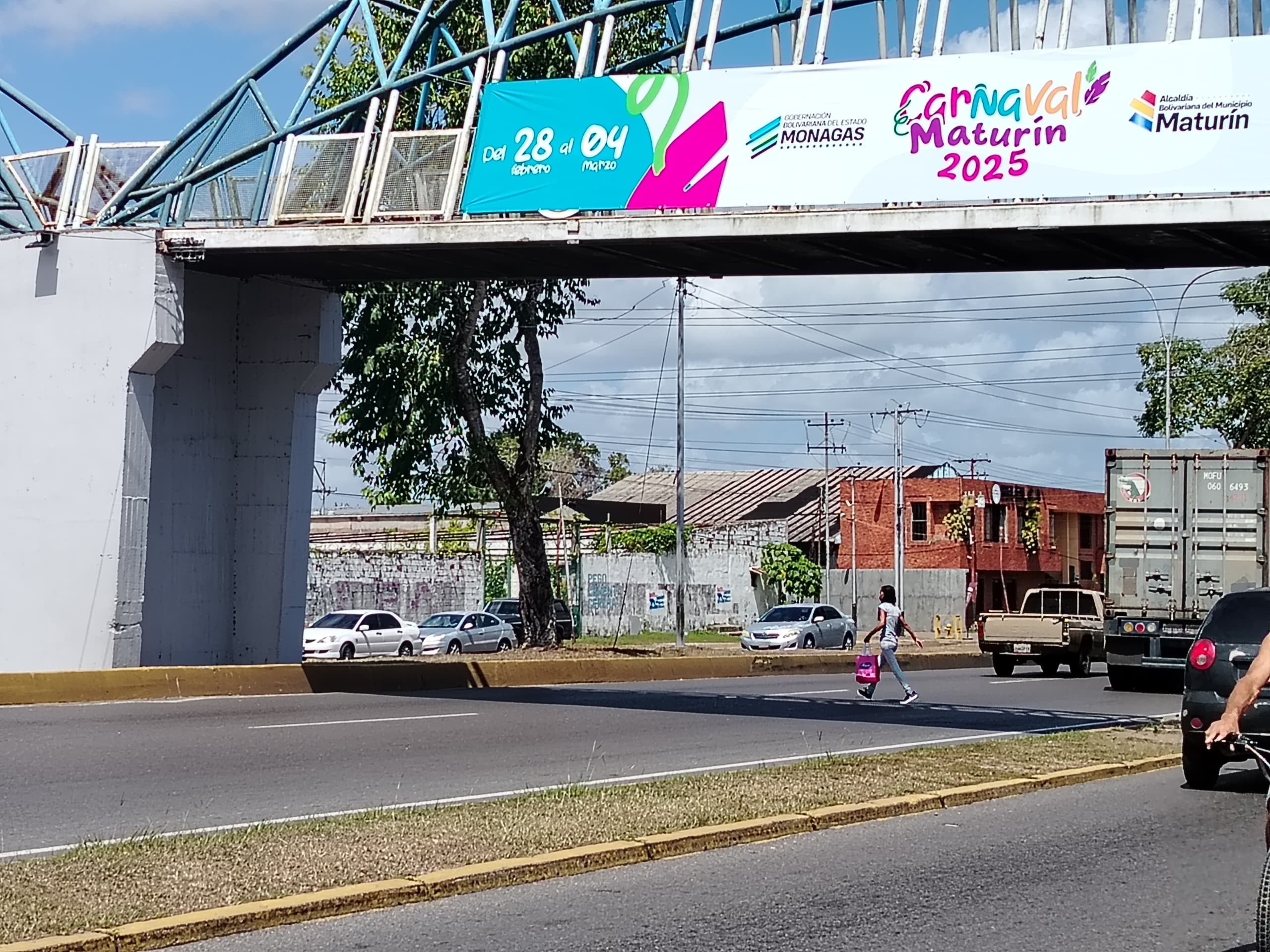 Pasarela de la avenida Alirio Ugarte Pelayo.