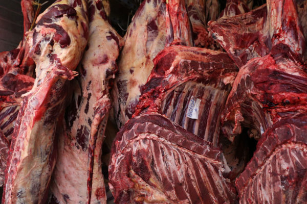 Reportan incremento de 20,83% en la producción nacional de carne