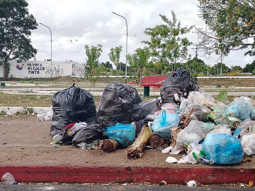 Denuncian deficiencias en la recolección de basura en Los Guaritos IV