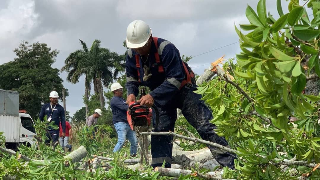 Plan Pica y Poda favoreció a 19 mil monaguenses