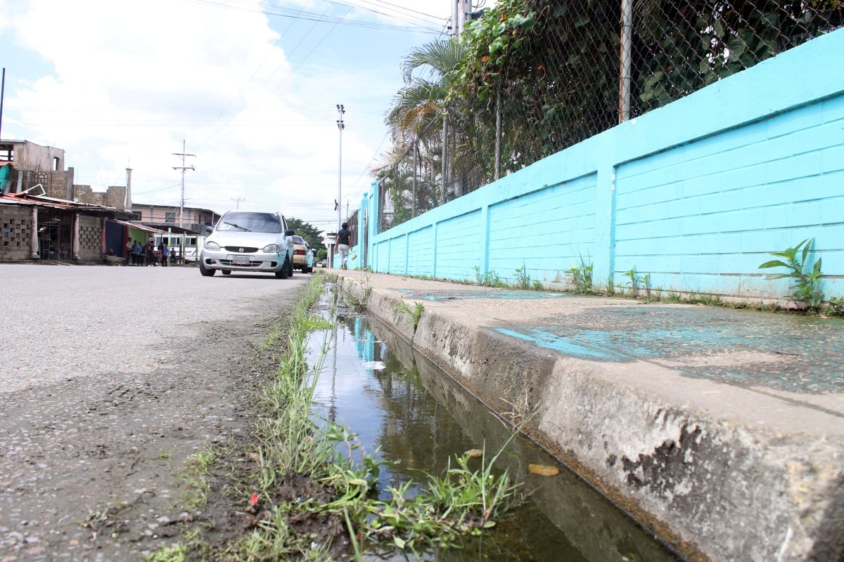 Un año de filtraciones de aguas blancas dañan las paredes del liceo Salvador Allende