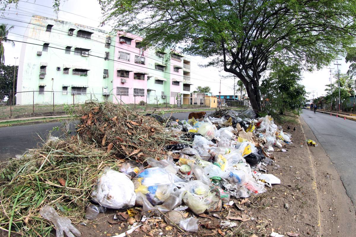 Vecinos de Los Guaritos hacen un llamado de conciencia ante varios vertederos de basura en la zona