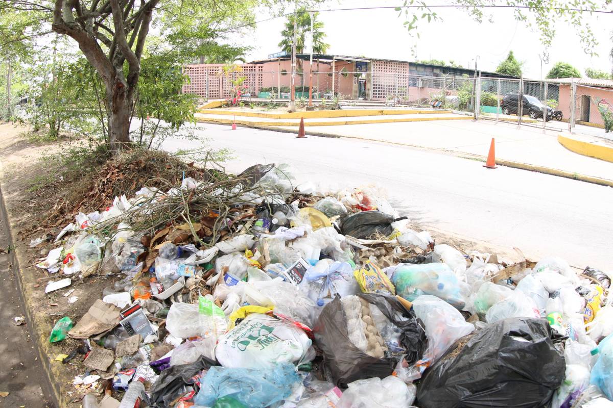 Exigen la eliminación del vertedero de basura frente a la U.E Miguel Eduardo Turmero, que afecta a 900 estudiantes