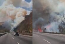 Reportan incendio forestal en la autopista Gran Mariscal de Ayacucho, sentido Guarenas-Caracas