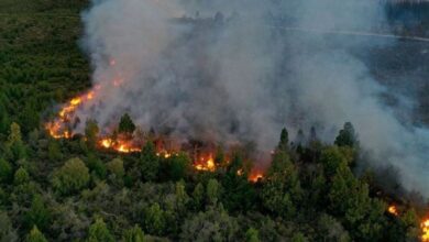 Incendios en Argentina dejan más de mil personas evacuadas