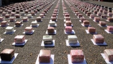 Venezuela: más del 80 % de los decomisos de droga en 2024 fueron en la frontera con Colombia