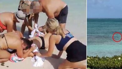 Mujer pierde las manos tras ser atacada por el tiburón al que quería fotografiar