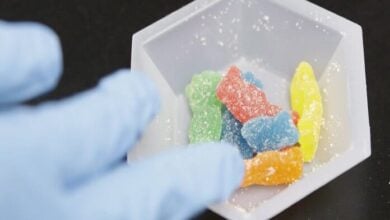 Gomitas de marihuana envían a 11 estudiantes de secundaria de Nueva York al hospital