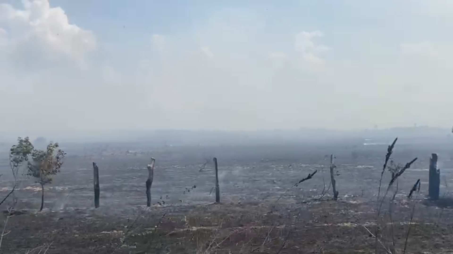 Asopropec alerta: quema indiscriminada en campos ganaderos amenaza la producción de carne y leche en Monagas