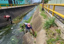 Alcaldía de Maturín ejecuta limpieza del caño Alberto Carnevalli en Las Avenidas