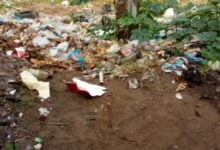 Solicitan atención ante vertedero clandestino de basura en Los Jabillos