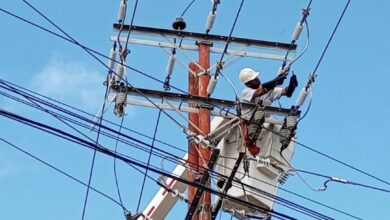 Realizarán mantenimiento a redes eléctricas de Maturín