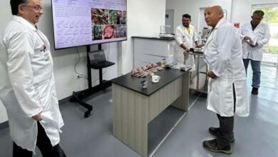 El gobernador de Amazonas explicó que la planta también es útil para la hipertensión, control de la diabetes y con efectos retrovirales científicamente comprobados