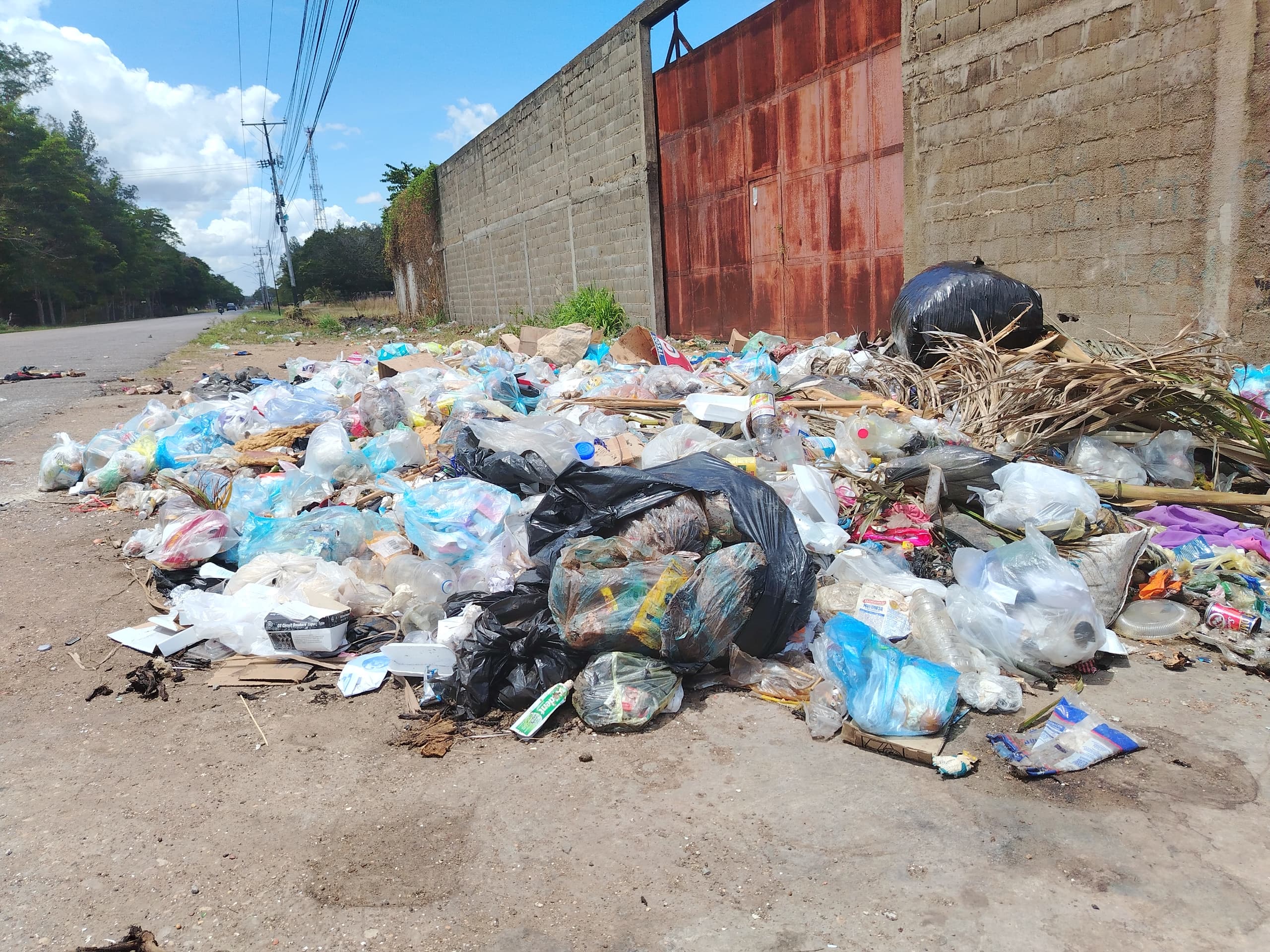 La avenida principal del sector la pica se encuentra repleta de basura.