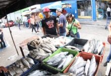 Venta del pescado fresco.