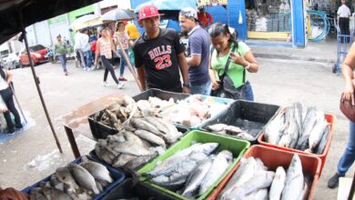 Venta del pescado fresco.