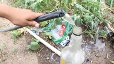 Problema del servicio del agua en los Guaritos I.