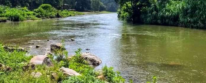 Balneario Los Mangos, ubicado en el sector Tamanaco del municipio Tinaquillo en el estado Cojedes.